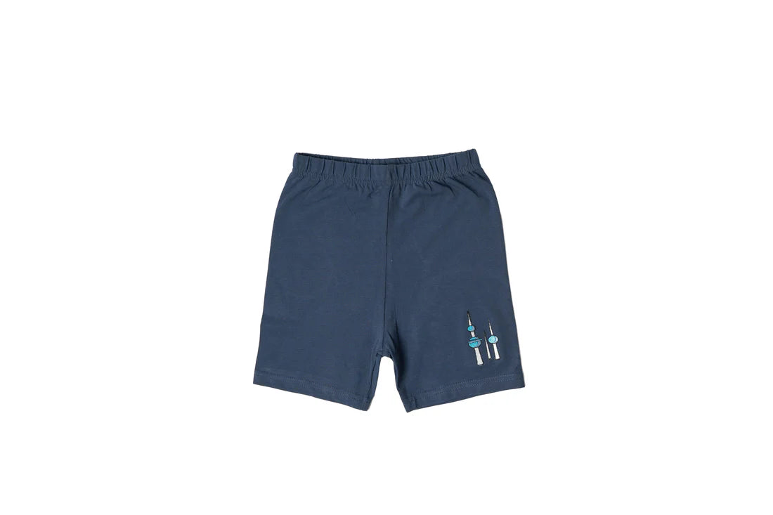 Abraaj Navy Blue Set