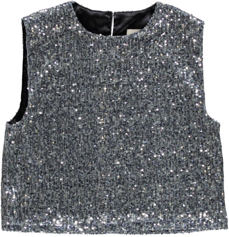 Harry Maan Silver Sequence Top