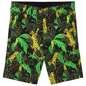Palm Print SMC Shorts